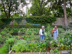 Jardin potager au Jardin des ifs Gerberoy Oise
