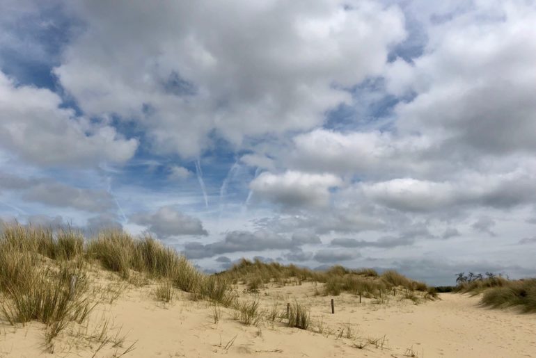 Dunes réserve naturelle du Westhoek La Panne Belgique