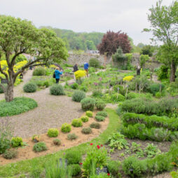 Vue d'ensemble Herbarium Saint-Valery-sur-Somme