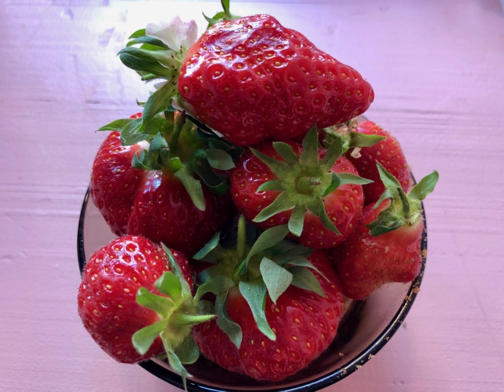 Bierbuik Lille fraises