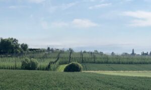 Reseau-points-noeuds-velo-monts-de-flandre-jolie-vue