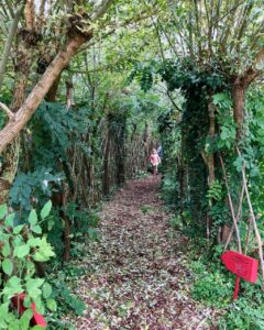 Parc-Mosaic-labyrinthe