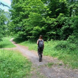 Conde-sur-l-Escaut-balade-sur-le-chemin