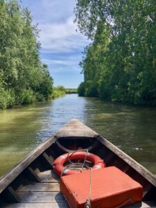 Marais-audomarois-Isnor-bacove-photo-hauteur