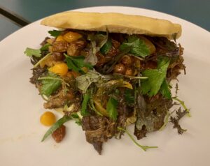 Britney-Lille-kebab-ribs-boeuf