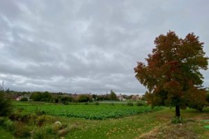 Week-end-Amiens-Au-Jardin-sur-l-eau-verger