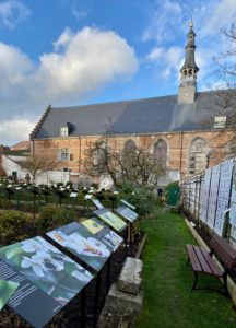 Hopital-Notre-Dame-a-la-Rose-Lessines-jardin-et-eglise