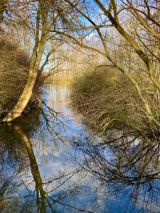 Les-Etangs-Osartis-Marquion