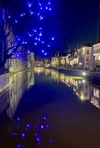 Gand-plan-lumiere-oiseaux-bleus-dans-arbre