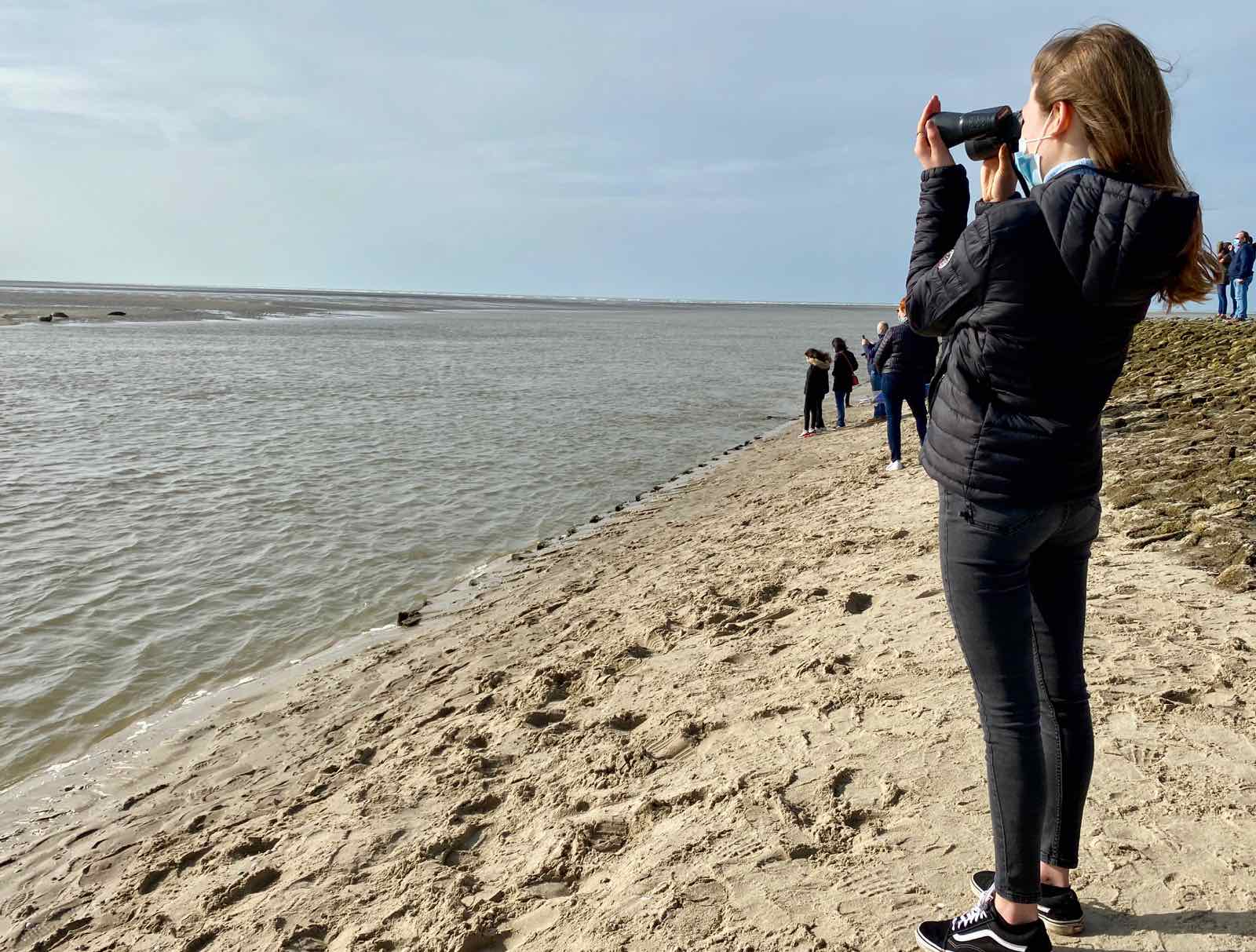 Observer les phoques en baie d’Authie *mode d’emploi* Plus au nord