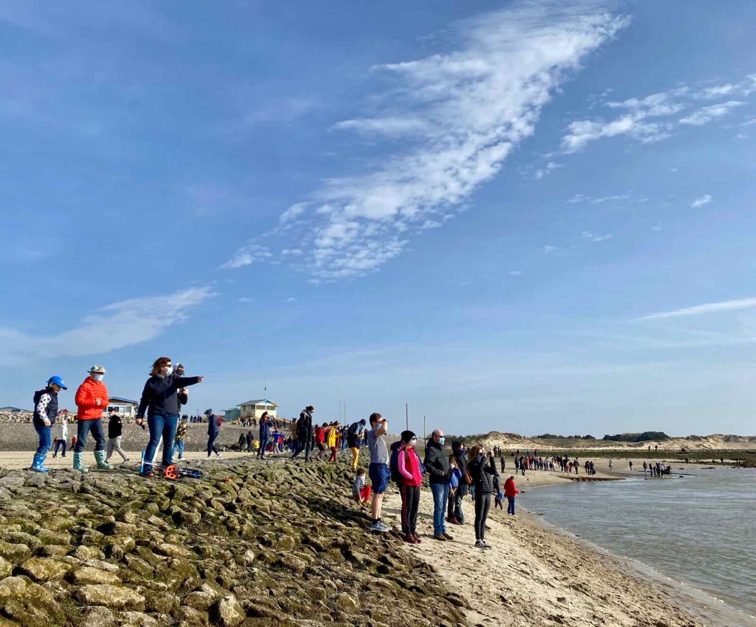 Observer les phoques en baie d’Authie *mode d’emploi* Plus au nord