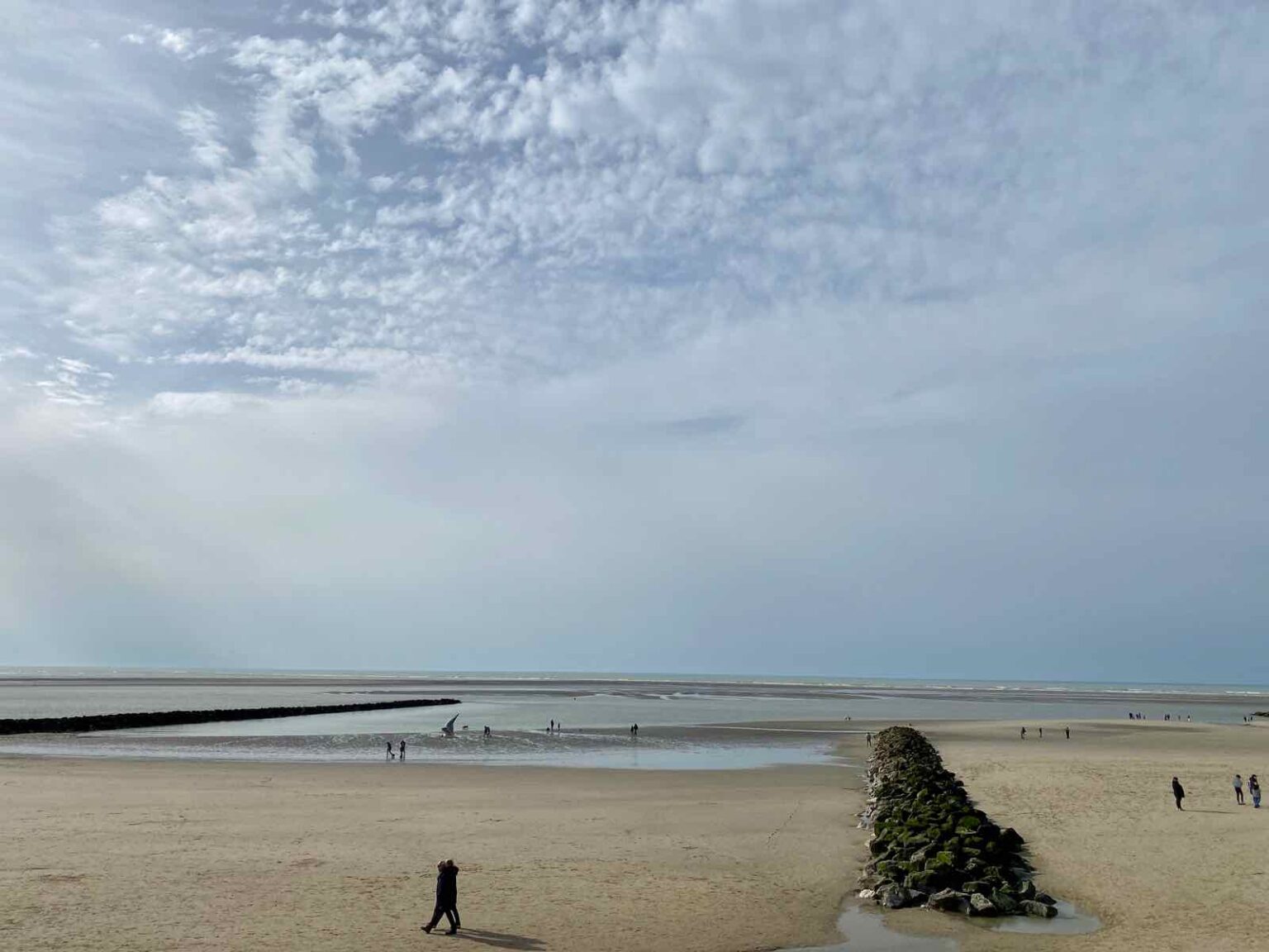 Observer les phoques en baie d’Authie *mode d’emploi* Plus au nord