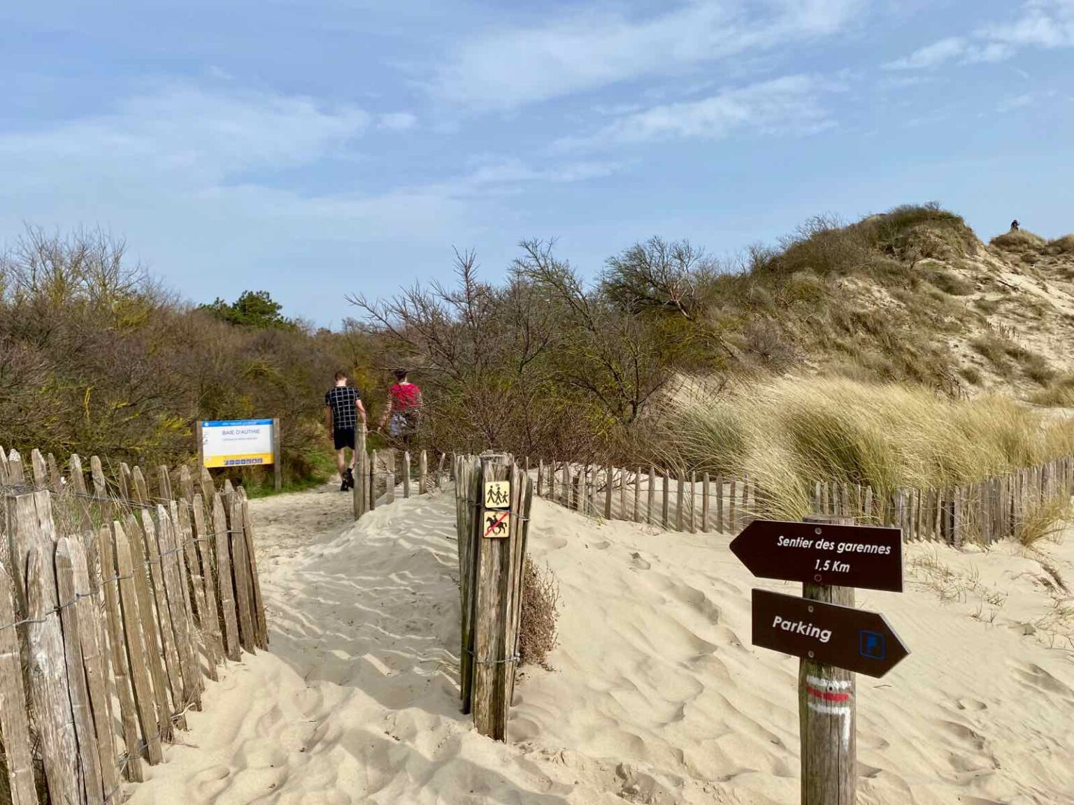 Observer les phoques en baie d’Authie *mode d’emploi* Plus au nord