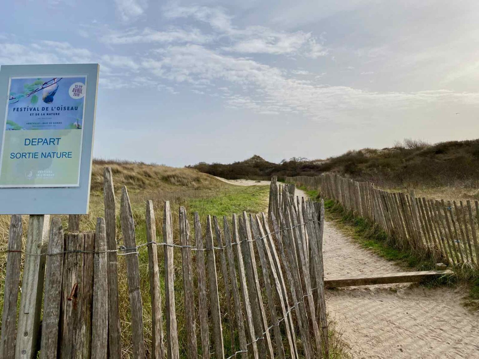 Observer les phoques en baie d’Authie *mode d’emploi* Plus au nord