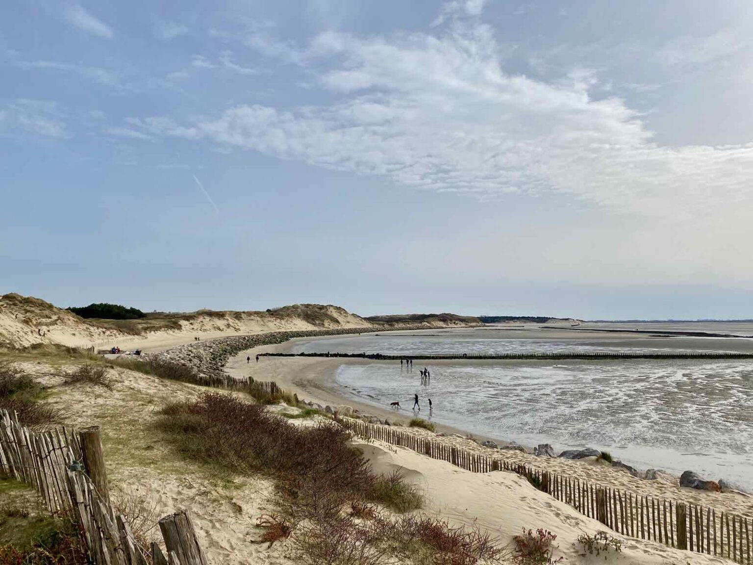 Observer les phoques en baie d’Authie *mode d’emploi* Plus au nord