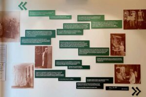 Musee-Matisse-Le-Cateau-Cambresis-phrases
