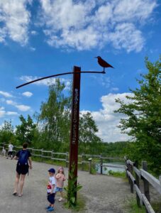 Terril-des-Argales-Rieulay-site-ornithologique