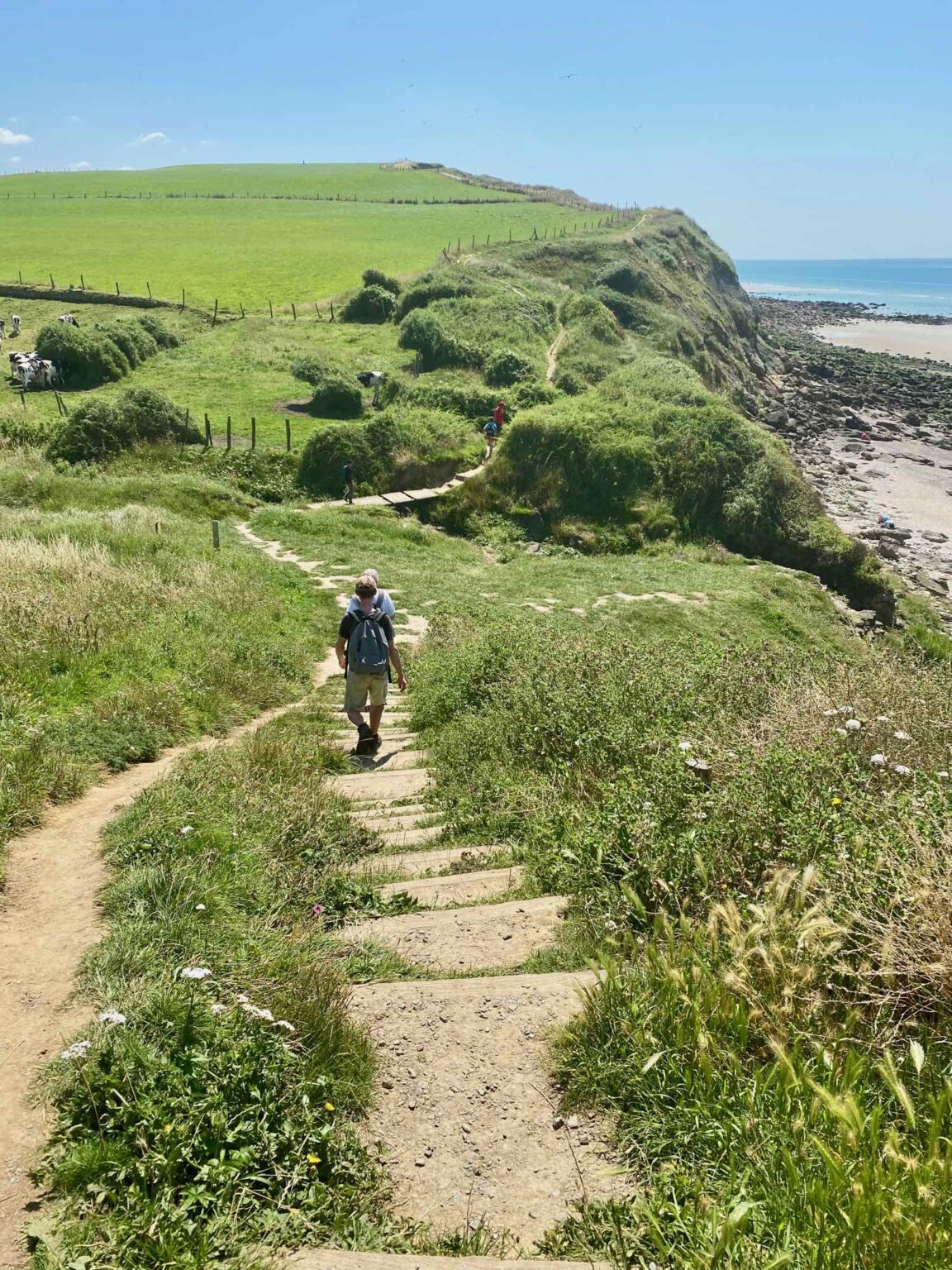 Balade sur le sentier des Douaniers *du Portel à Équihen* Plus au nord