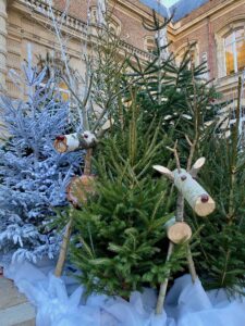 Marche-Noel-Amiens-petits-animaux