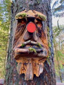 Chemin-des-cimes-Alsace-masque-bois-arbre