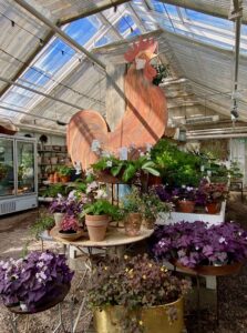adresses-a-Stockholm-Rosendals Tradgard-plantes