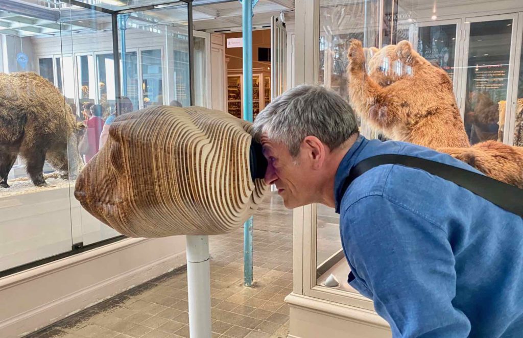 Zooscope au musée d'Histoire naturelle de Lille