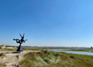 Knokke-lapin-vu-loin
