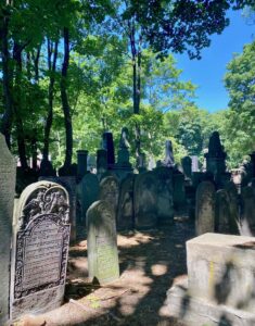 Pologne-Varsovie-cimetiere-juif-deux