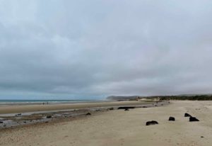 Cote-d-Opale-GR-120-littoral-plage