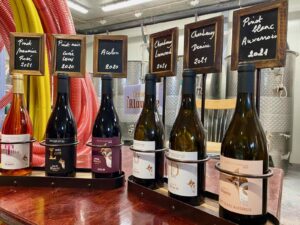 Heuvelland-vin-Cense-de-l-Alouette-produits