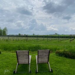 Heuvelland-vin-photo-accueil.-bis