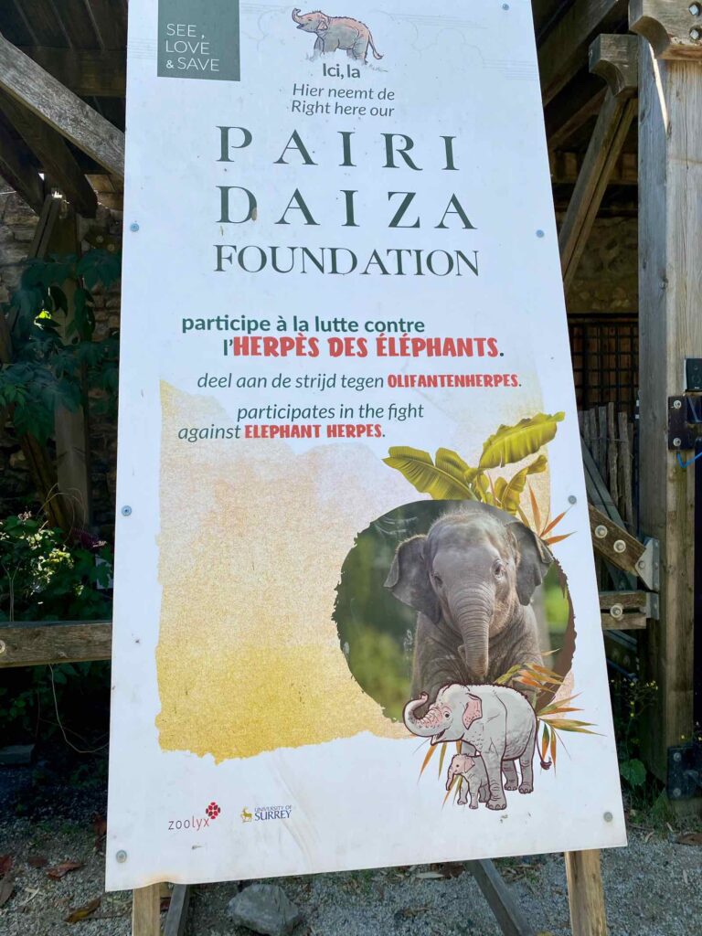 Pairi-Daiza-fondation