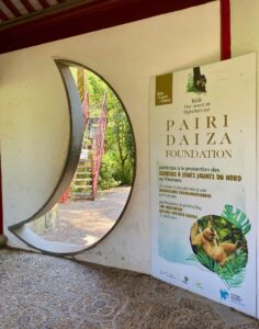 Pairi-Daiza-fondation-sensibilisation