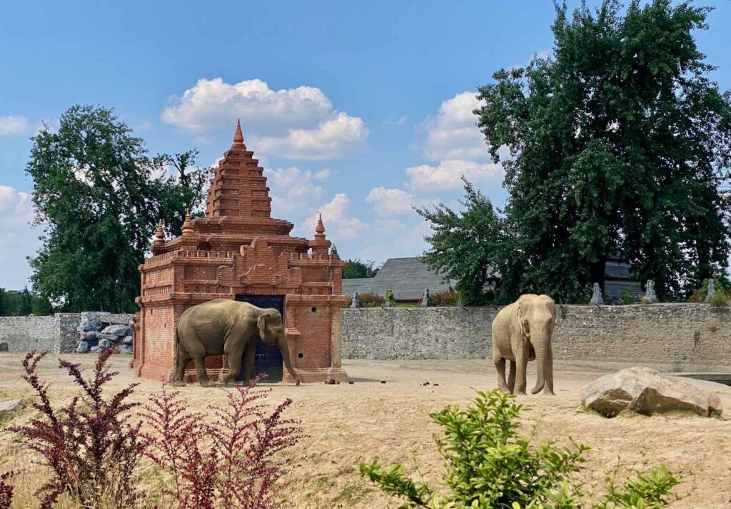 Pairi-Daiza-monde-Ganesha-elephants