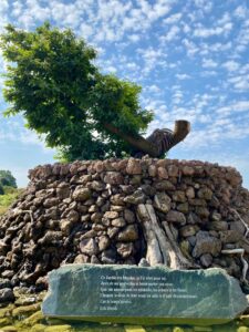 Pairi-Daiza-nouvelle-entree-texte-Eric-Domb