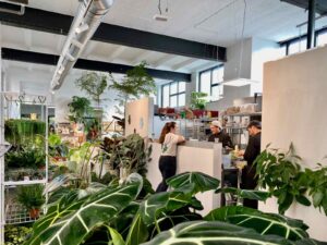 Saint-Andre-lez-Lille-Wilder-plantes-et-cuisine-ouverte