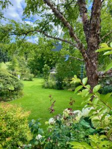 O-Jardin-paisible-Fressin