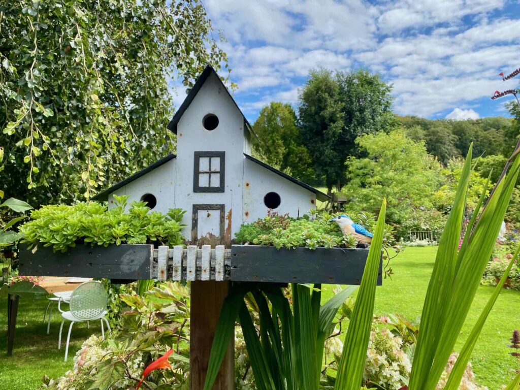 O-Jardin-paisible-Fressin-maison-a-oiseaux