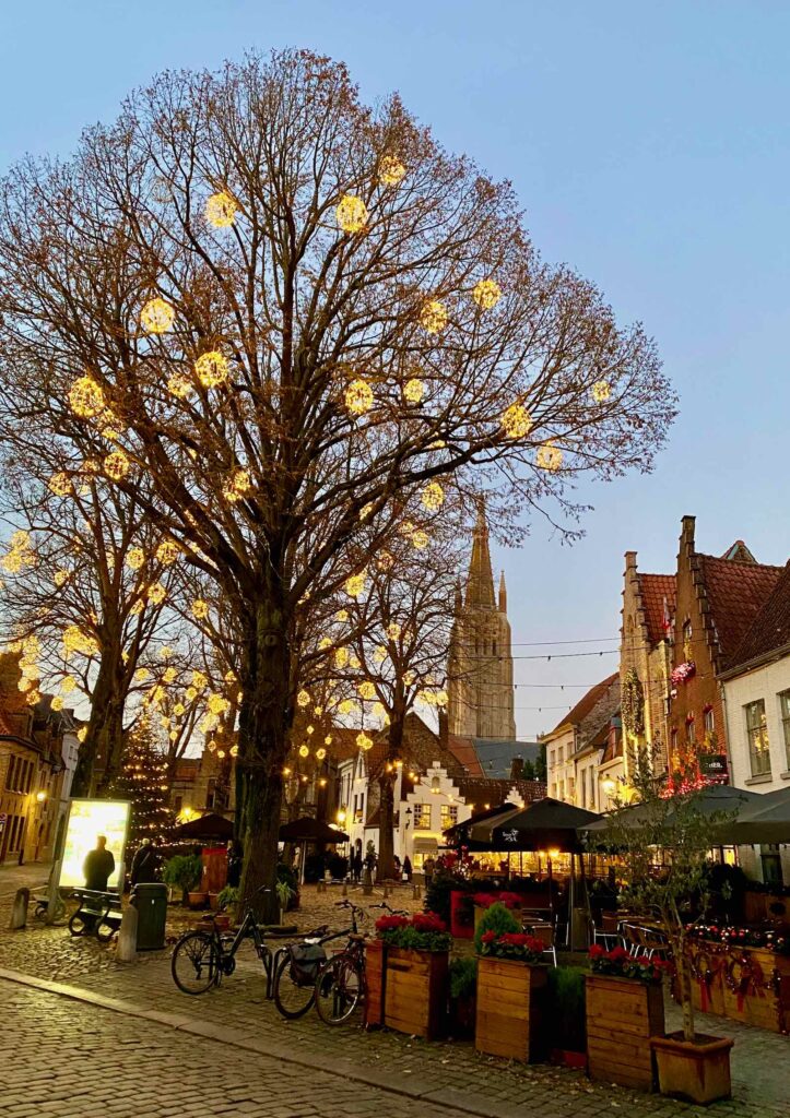 Bruges-Lueur-d-Hiver-arbre-decore-lumieres