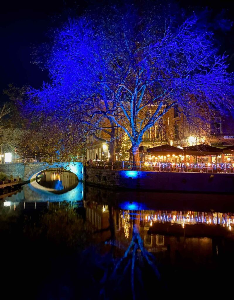Bruges-Lueur-d-Hiver-pont-illumine-et-arbre-bleu