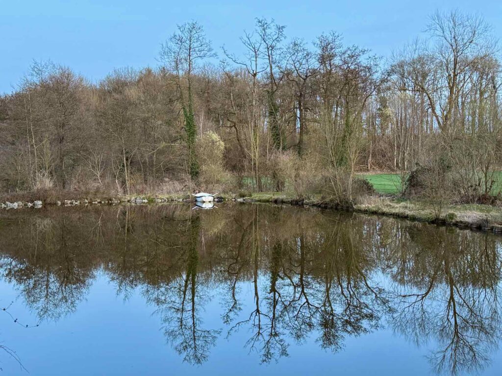 Ardenne-belge-Florennes-chalet-etang-soir