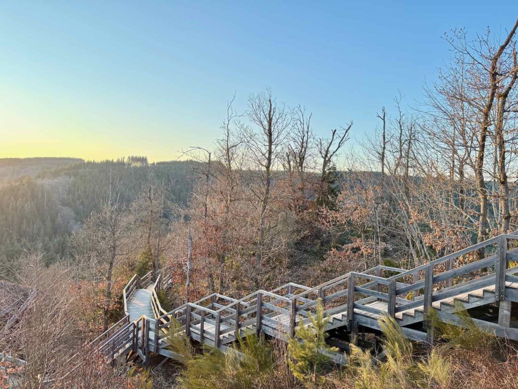 Les-Cabanes-de-Rensiwez-Houffalize-escalier-crete