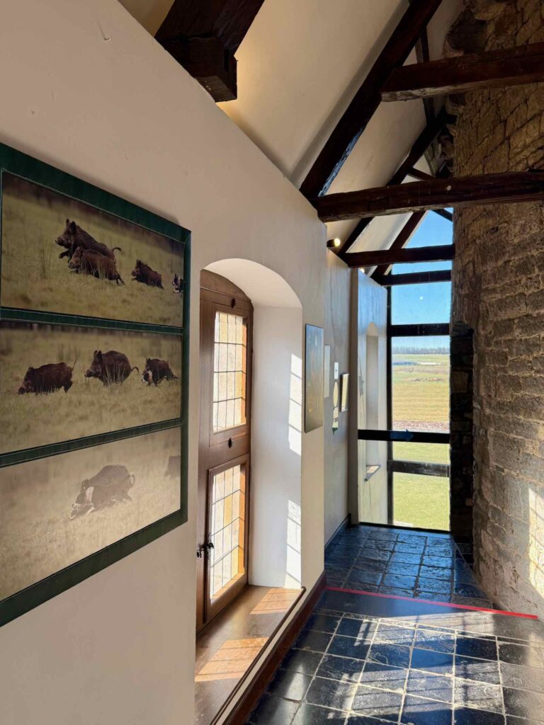 Chateaux-en-Wallonie-Lavaux-Sainte-Anne-couloir