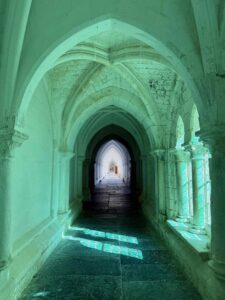 La-Chartreuse-de-Neuville-sous-Montreuil-cloître-lumiere-verte