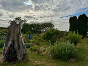 La-Chartreuse-de-Neuville-sous-Montreuil-jardin-deux