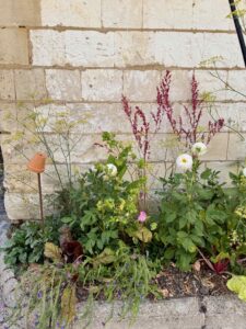 La-Chartreuse-de-Neuville-sous-Montreuil-jardin-dix