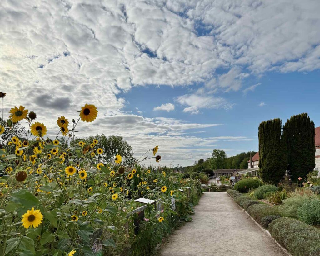 La-Chartreuse-de-Neuville-sous-Montreuil-jardin-neuf