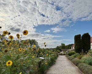 La-Chartreuse-de-Neuville-sous-Montreuil-jardin-neuf