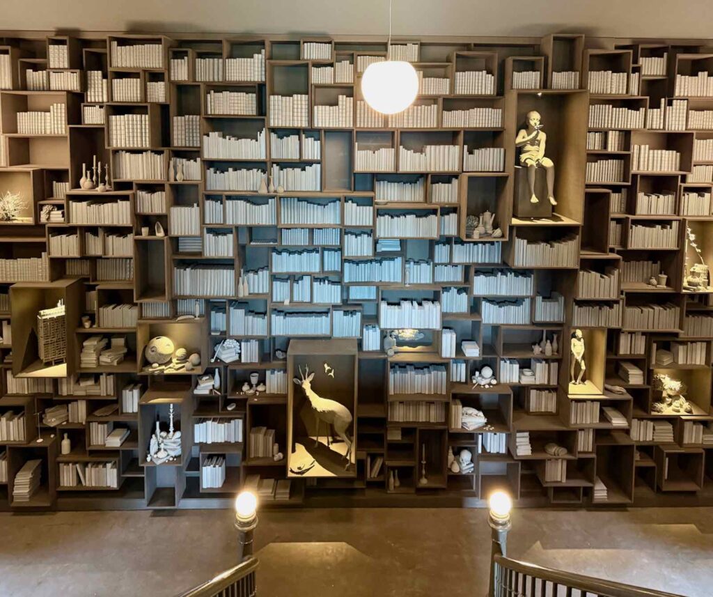 Vallee-de-la-Lys-Wunderkammer-Hans-Op-de-Beeck-bibliotheque-largeur