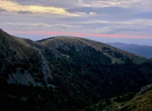 Vosges